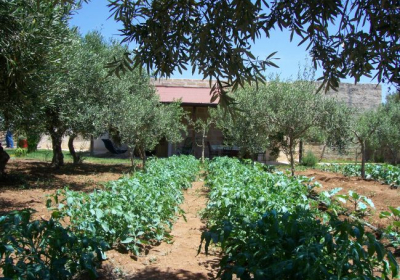 Casa Vacanze Casette Nel Verde